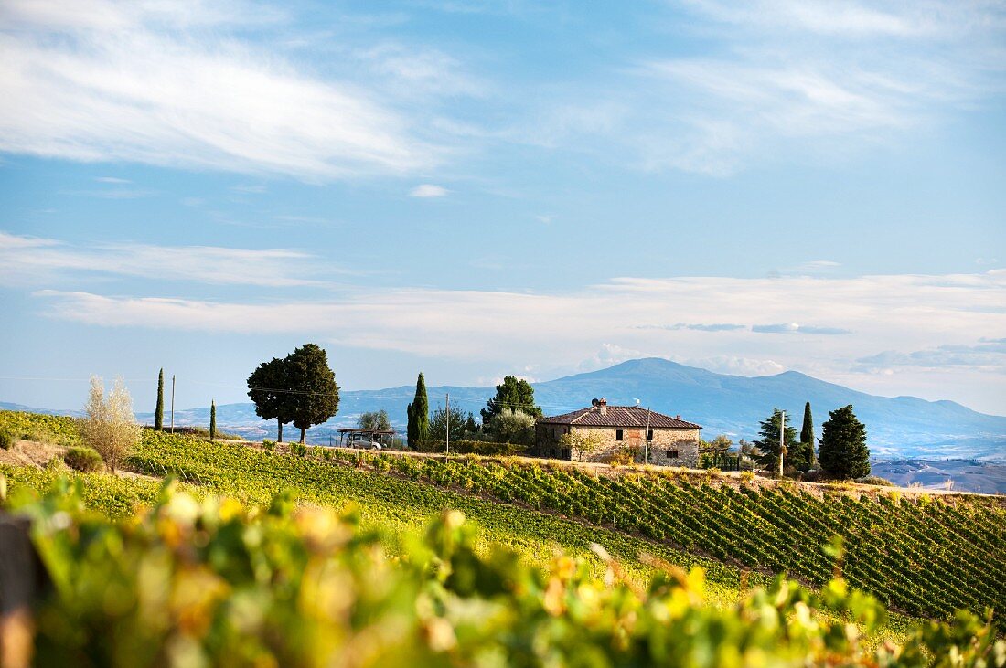 An estate in Chianti Classico