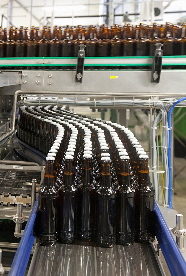 Filled beer bottles on a conveyor belt in the A. Le Coq brewery in Estonia