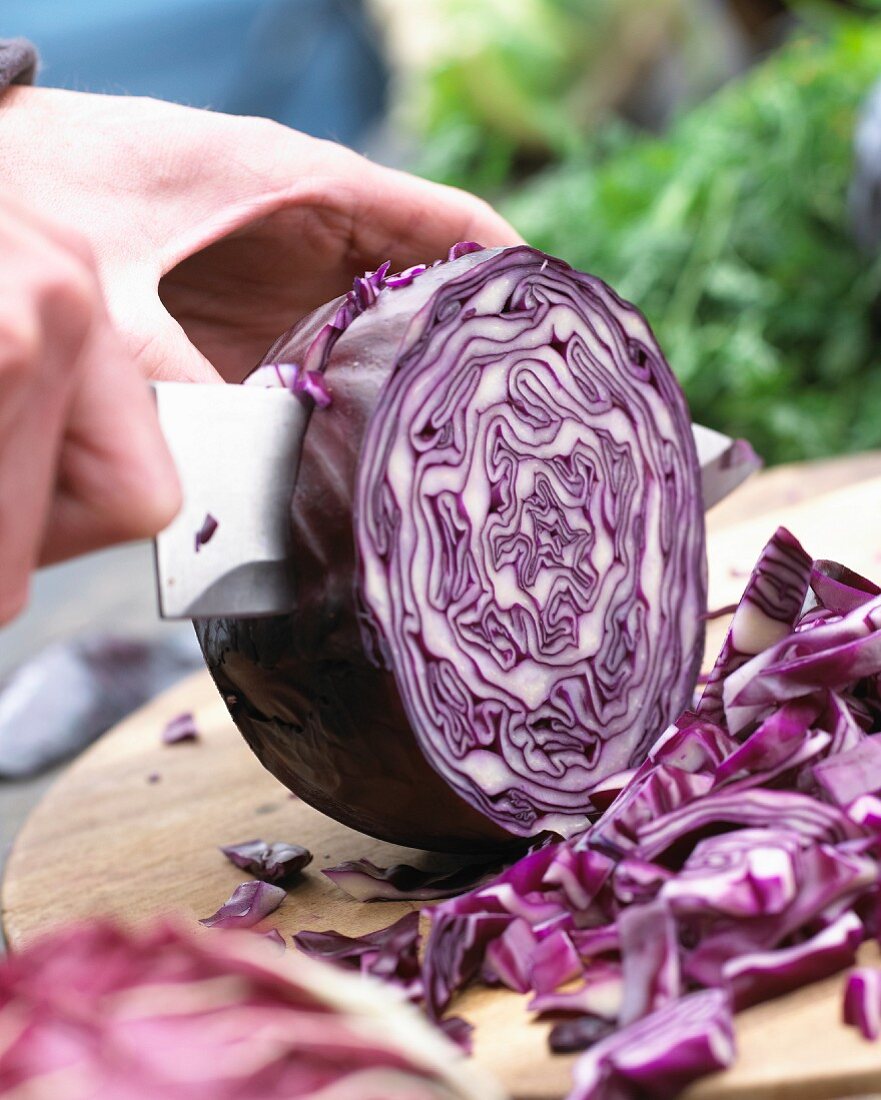 Cutting up red cabbage
