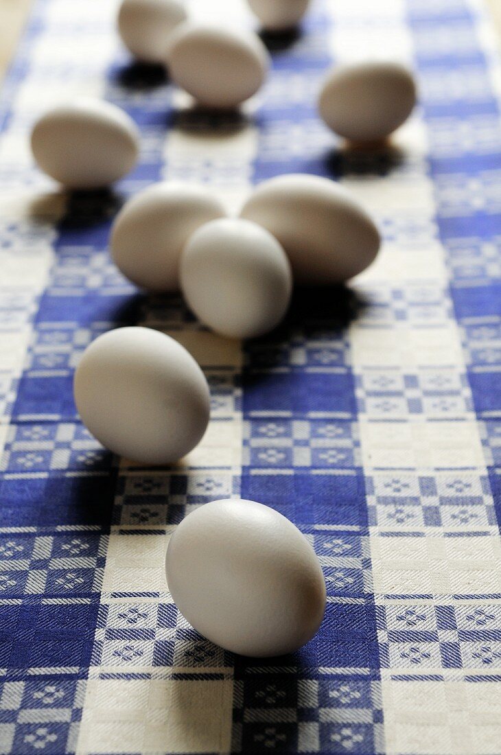 Mehrere weiße Eier auf kariertem Geschirrtuch