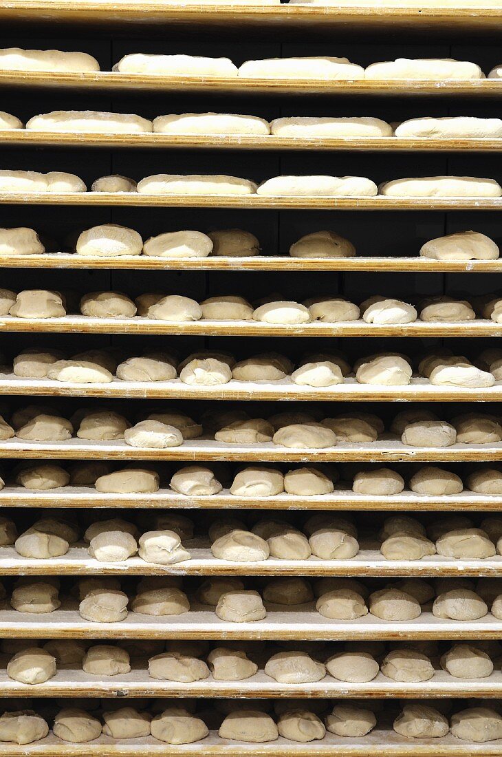 Shelves of unbaked bread in a bakery