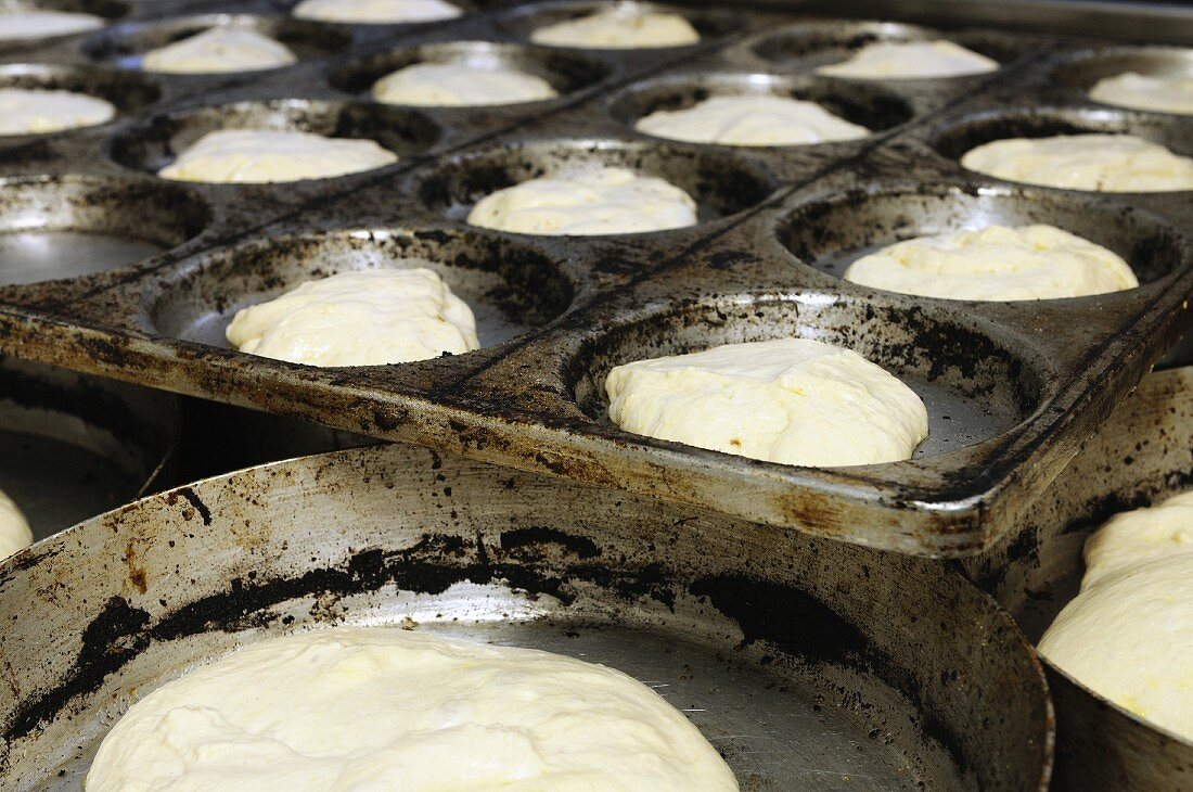 Focaccia dough in baking tins