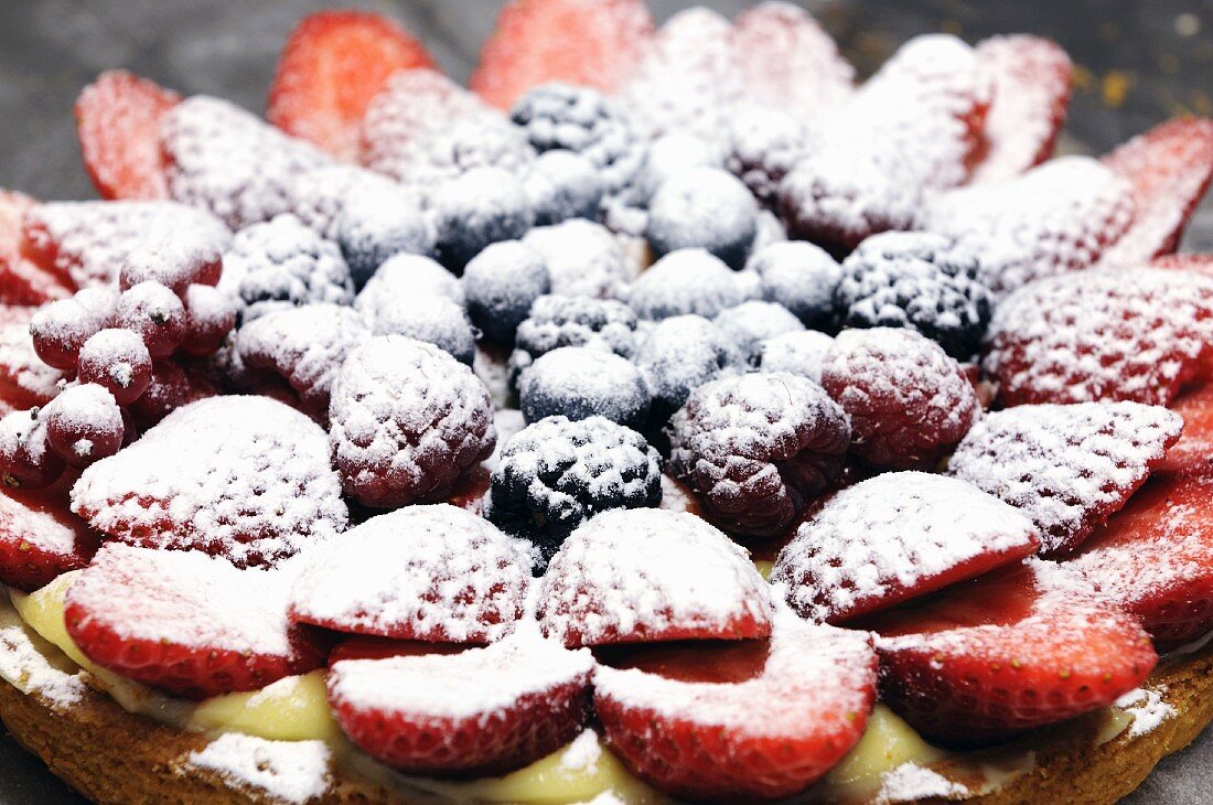 A berry tart dusted with icing sugar (Italy)
