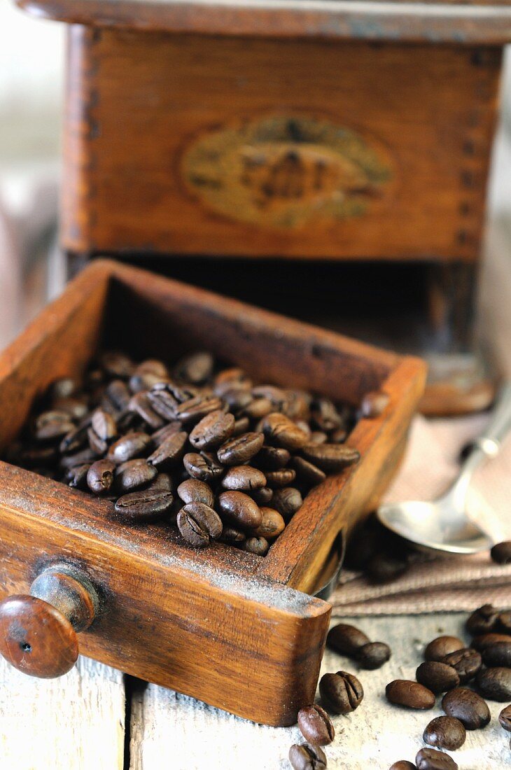 Kaffeebohnen in alter Kaffeemühle