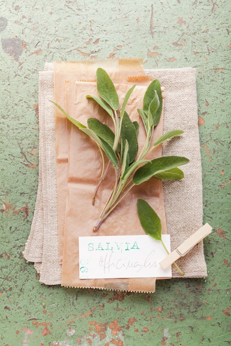 Fresh sage with a label