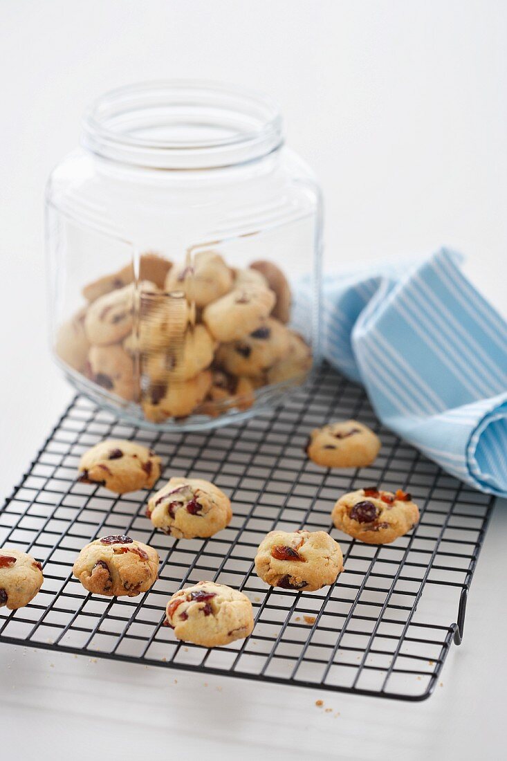 Apricot and cranberry biscuits on a wire rack and in a cookie jar