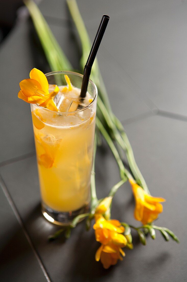 Cocktail mit Orchideenblüten