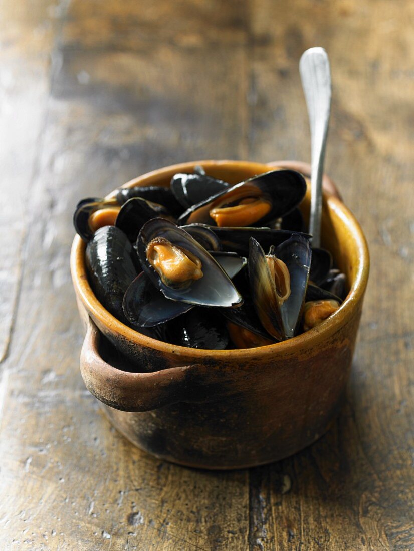 Mussels in a wine sauce