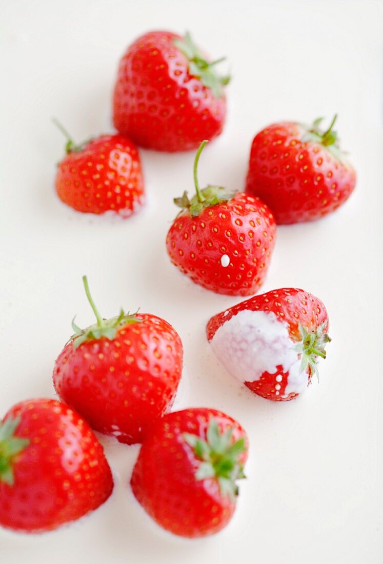 Strawberries in cream