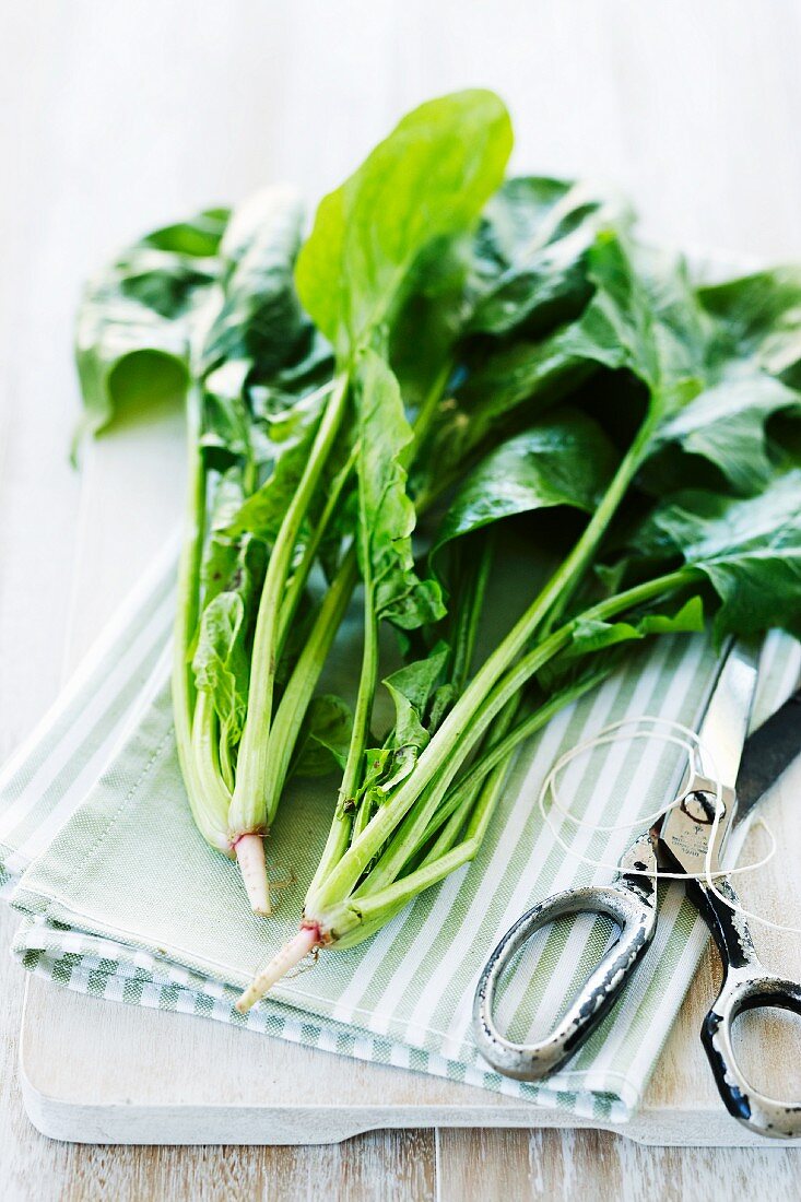 Fresh spinach on a tea towel