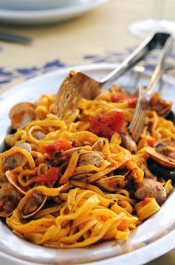 Fresh egg tagliolini pasta with clams in a tomato sauce