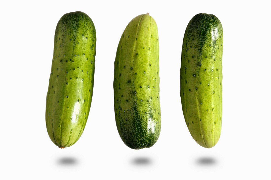 Cucumber