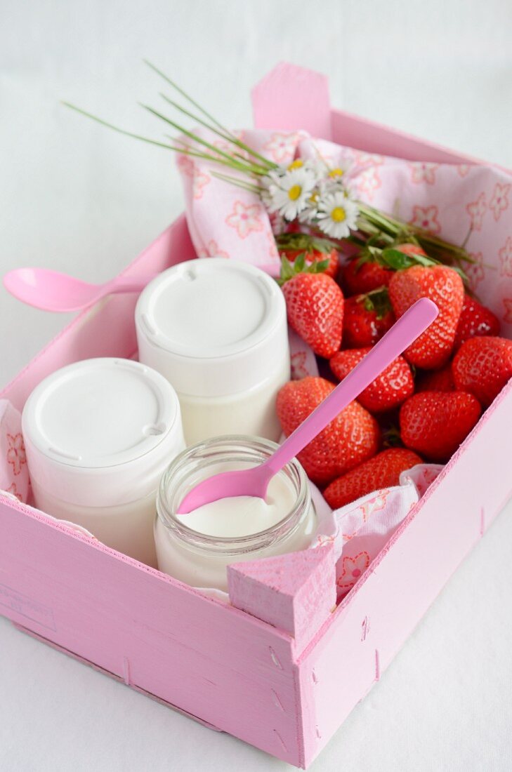 Selbstgemachter Naturjoghurt in Gläsern mit frischen Erdbeeren