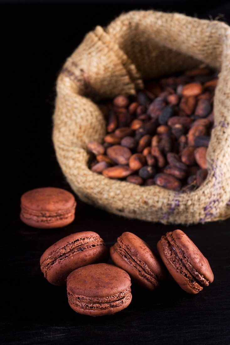 Chocolate macaroons with cocoa beans in the background