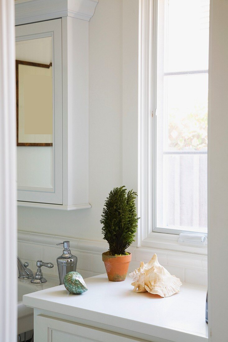 Clean Half Bathroom with Plant