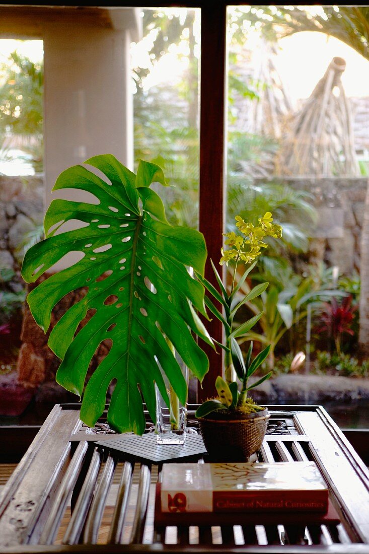 Large Leaf in Vase