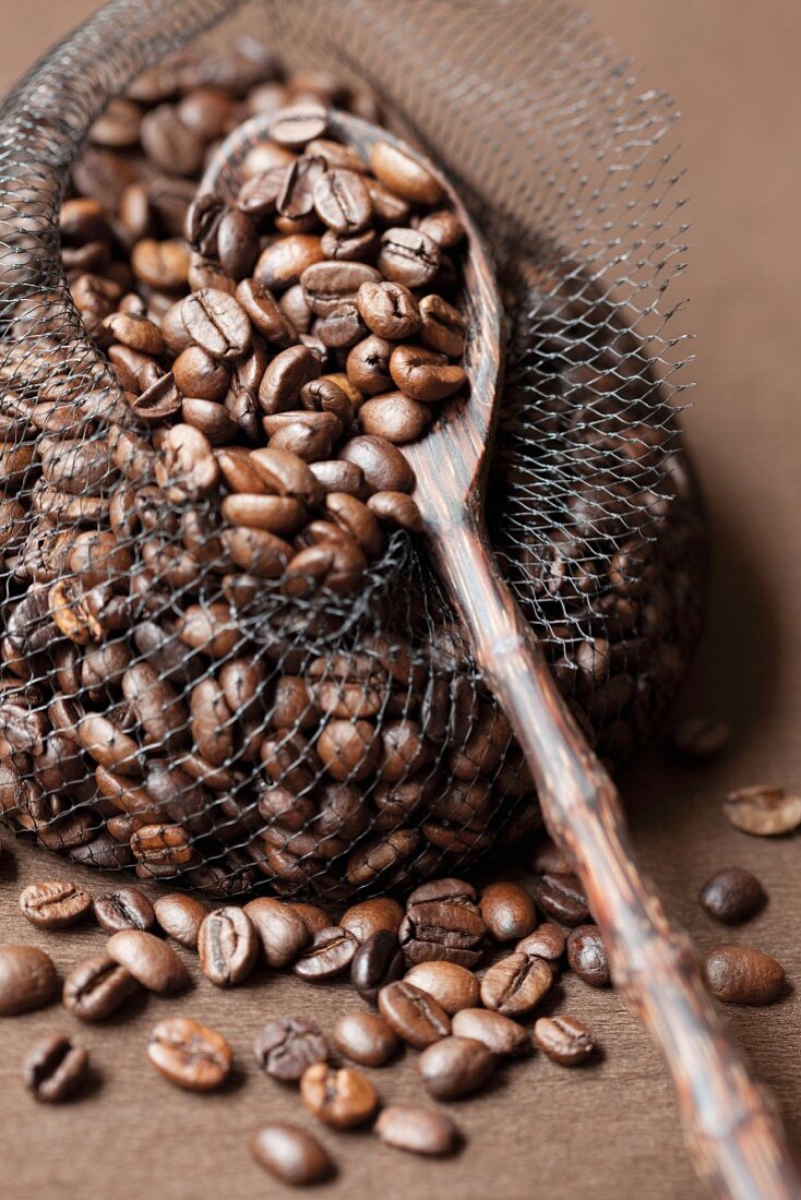 Roasted coffee beans in a net with a wooden spoon
