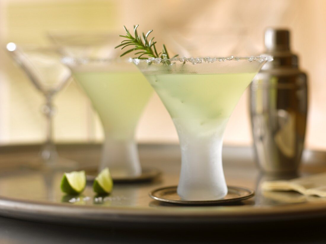 Rosemary Cosmos on a Tray; Cocktail Shaker