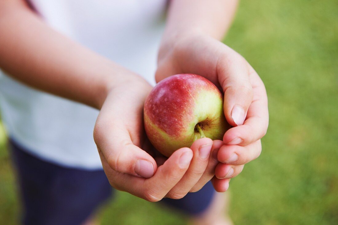 Close up of cupped hands holding fruit