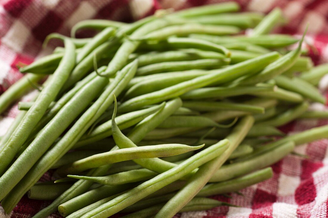 Fresh Green Beans on a Red and White Checked Towel