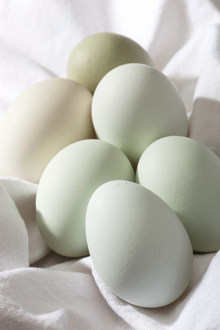 Frische Araucaner-Eier auf weißem Tuch