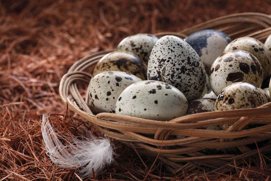 A basket of quail's eggs