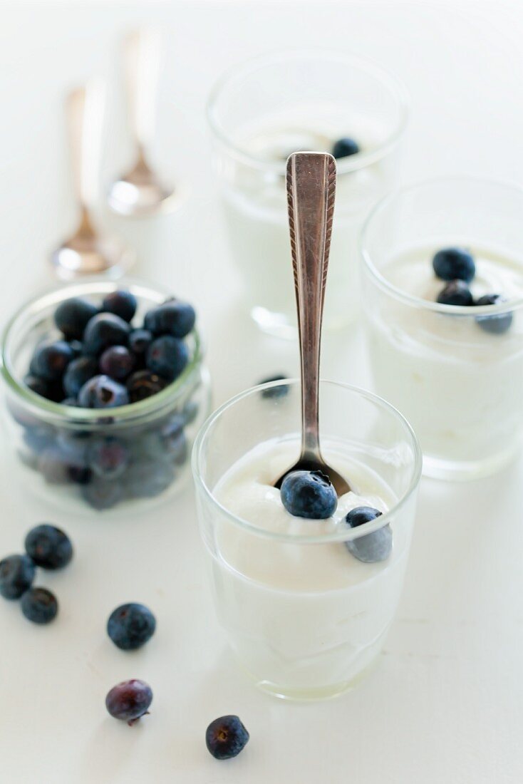 Naturjoghurt in Gläsern mit frischen Blaubeeren