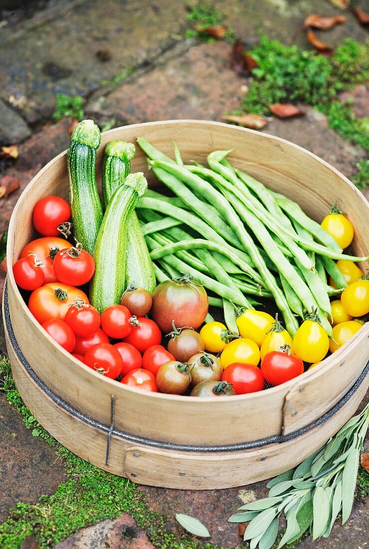 Frisches Gartengemüse im Sieb (Tomaten, Zucchini, Grüne Bohnen)