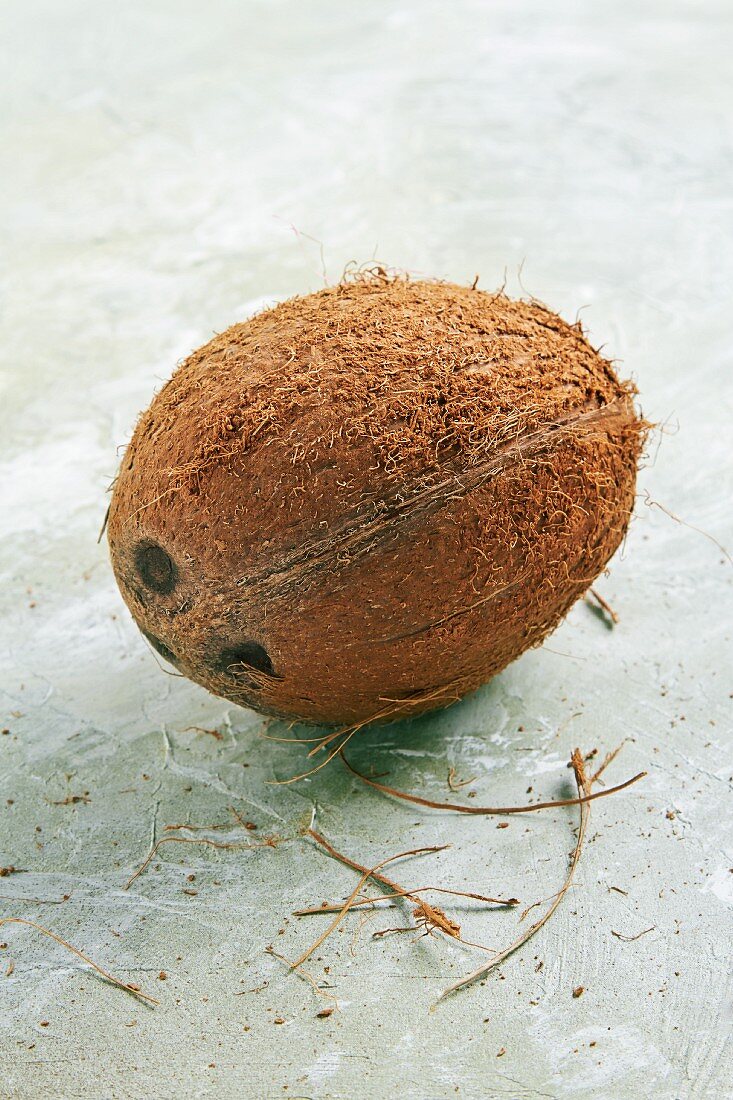 Ganze Kokosnuss