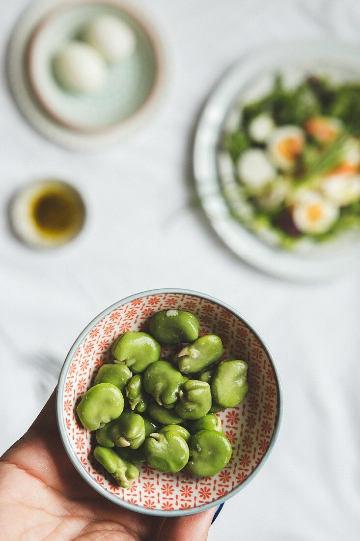 Broad beans as ingredients for a spring salad with salmon and eggs