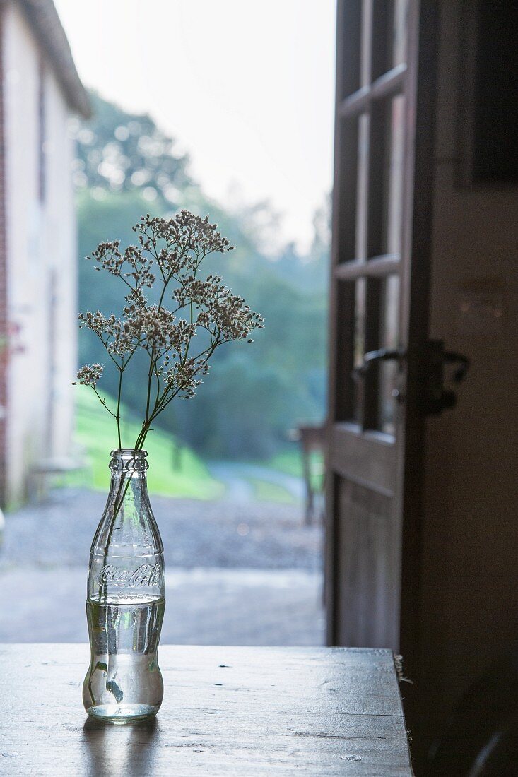 Flasche als Blumenvase vor geöffneter Tür und unscharfe Landschaft im Hintergrund