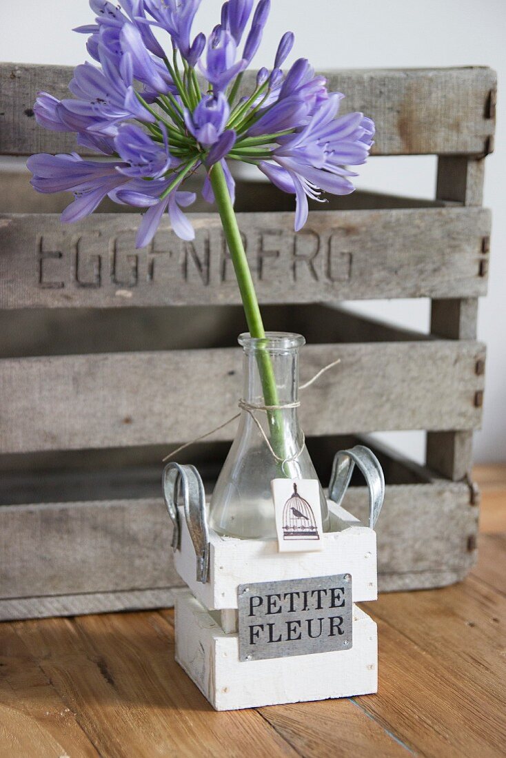 Violetter Agapanthus in Glasvase mit Holzkästchen und selbstgemachtem Geschenkanhänger