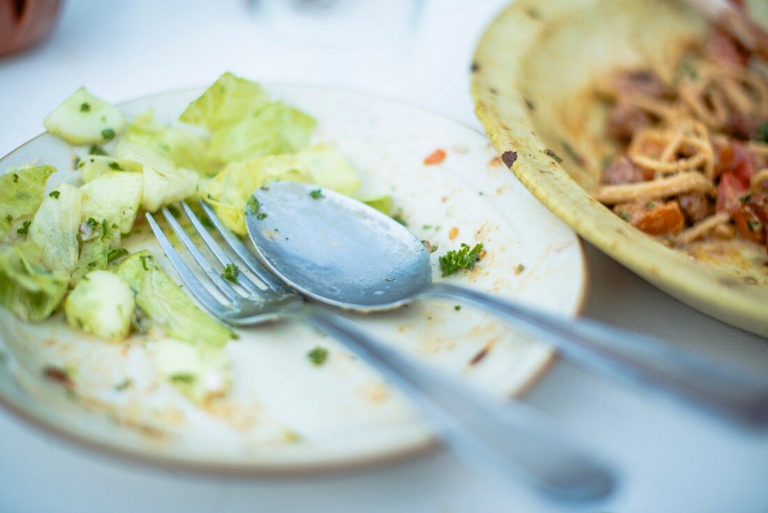 Leergegessener Teller mit Salatrest