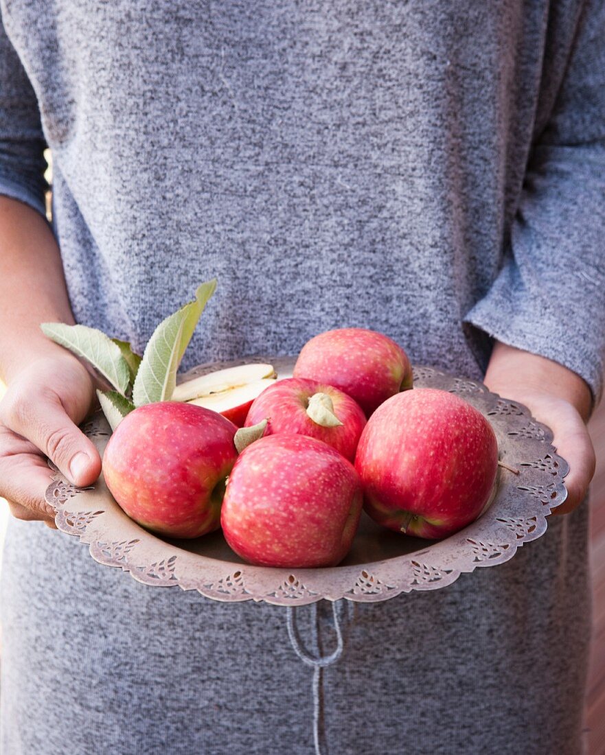 Hände halten Metallteller mit roten Äpfeln