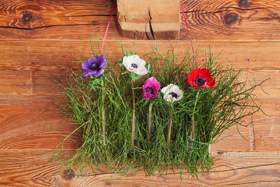 Anemones and bilberry stalks hung on wooden wall