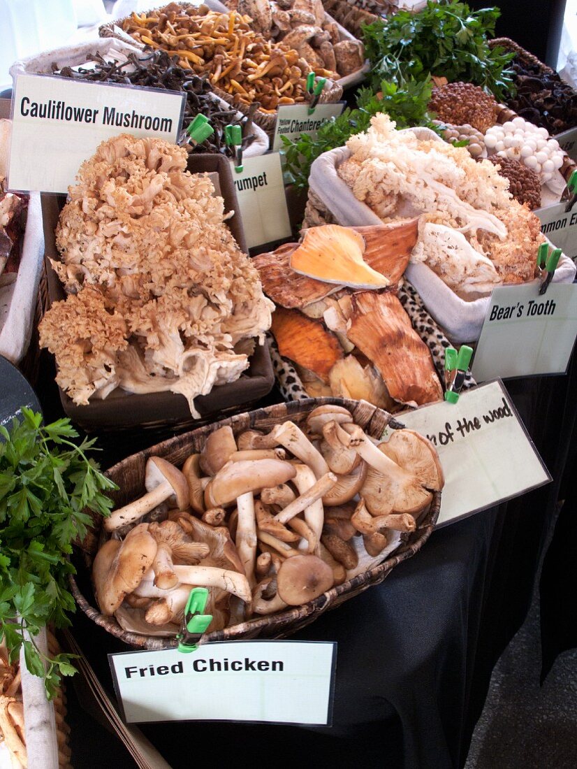 Ungewöhnliche Pilzsorten auf dem Markt