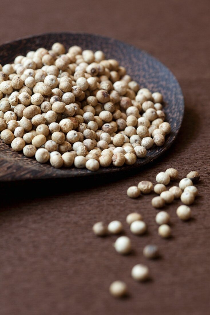 White peppercorns on a wooden spoon