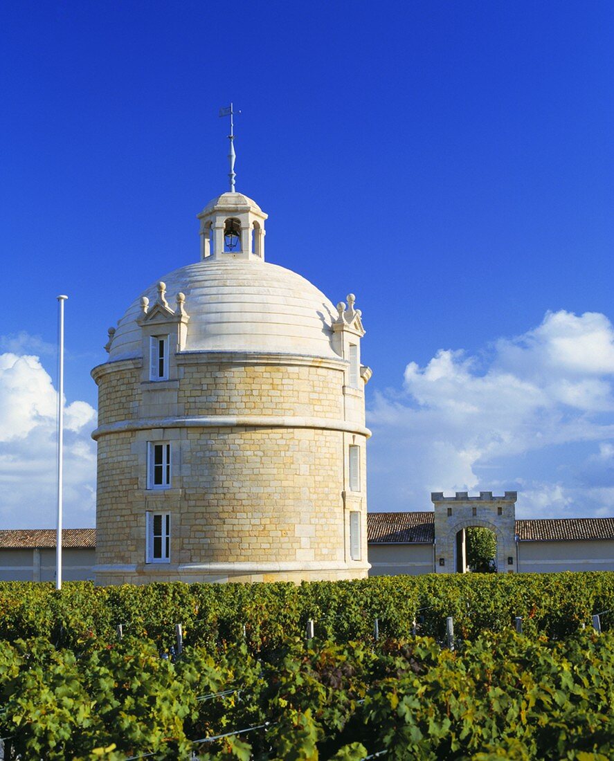Der Turm des Spitzenweingutes Château Latour im Medoc, France