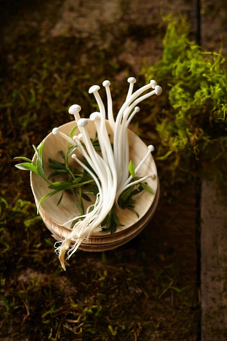 Enoki mushrooms in a stack of bowls on moss and earth