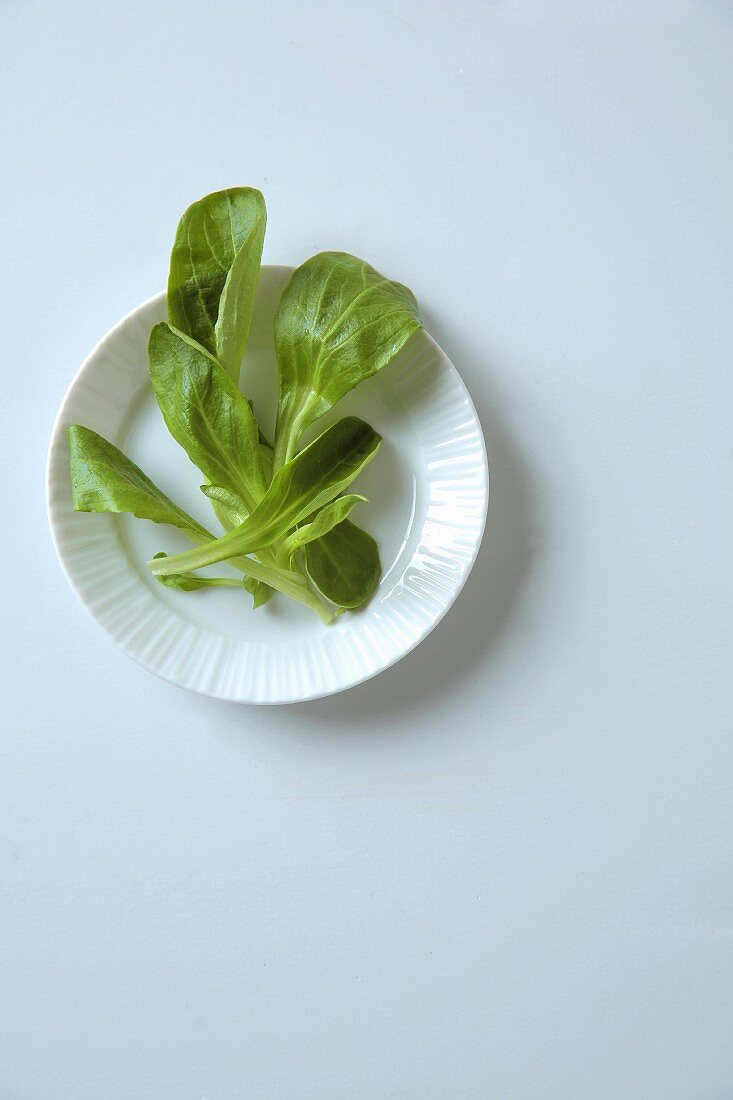 Lamb's lettuce in a bowl