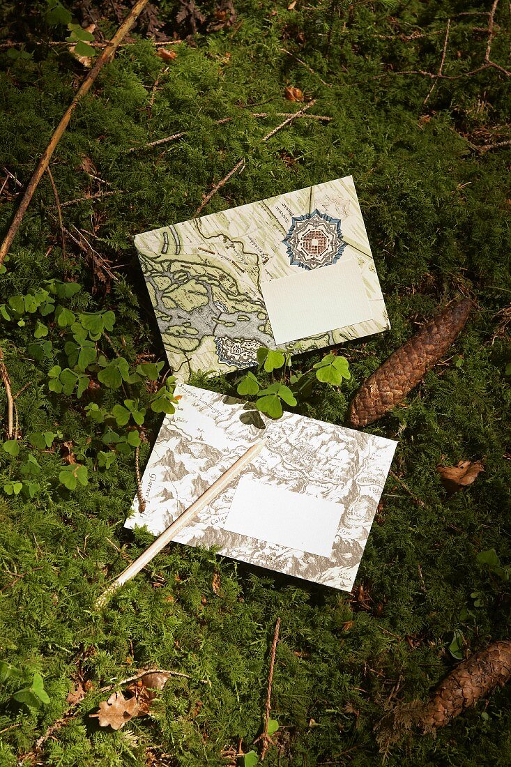 Briefkuverts mit Landkarten Motiv und Tannenzapfen auf Moosboden