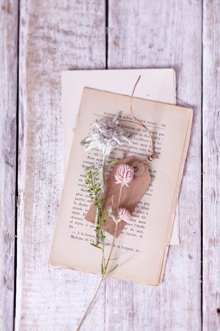 Edelweiss and a gift tag on pages of a book