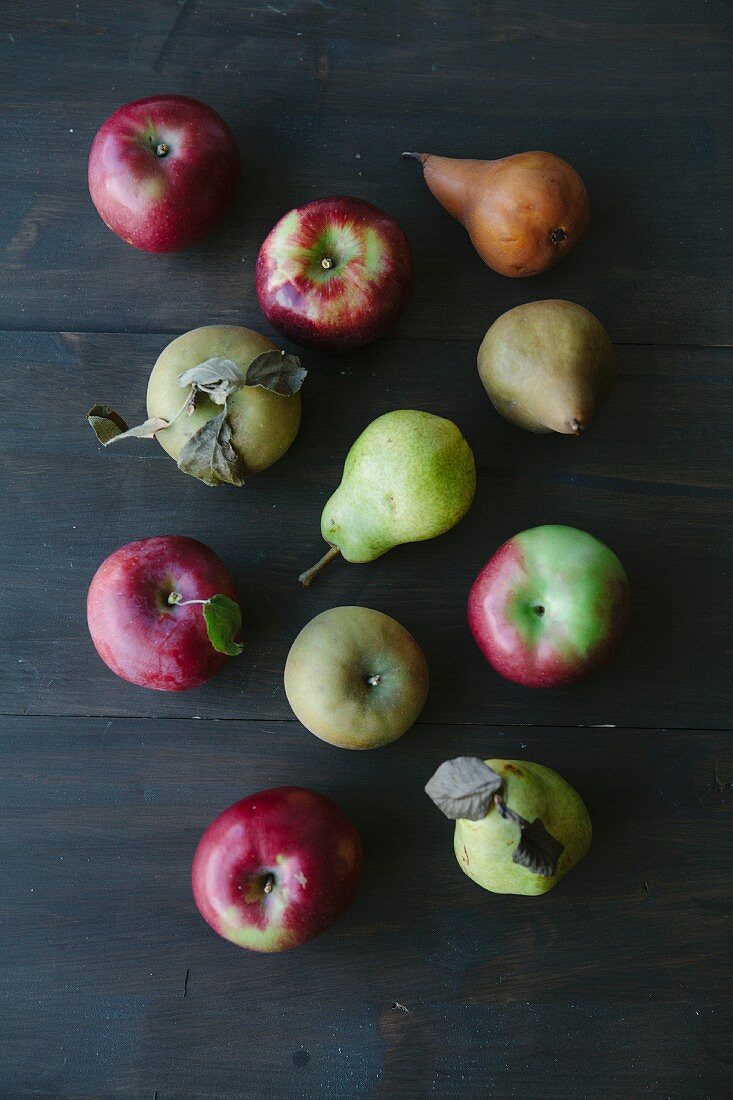 Various types of apples and pears (seen from above)