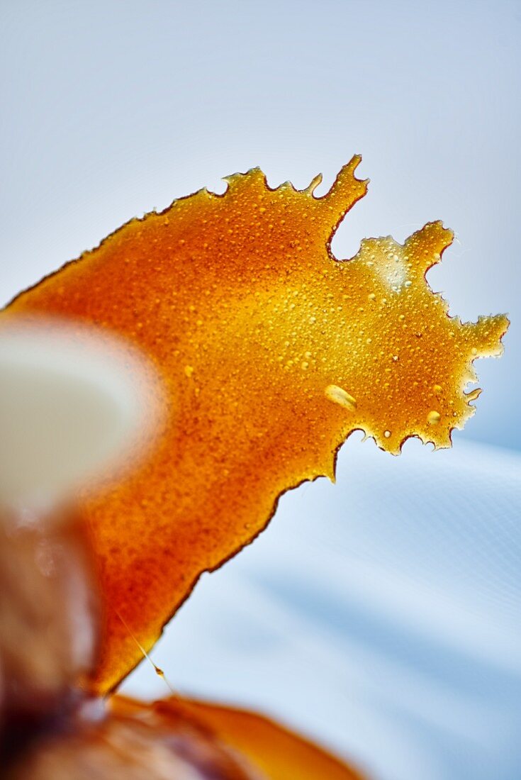 A caramel sheet (close-up)