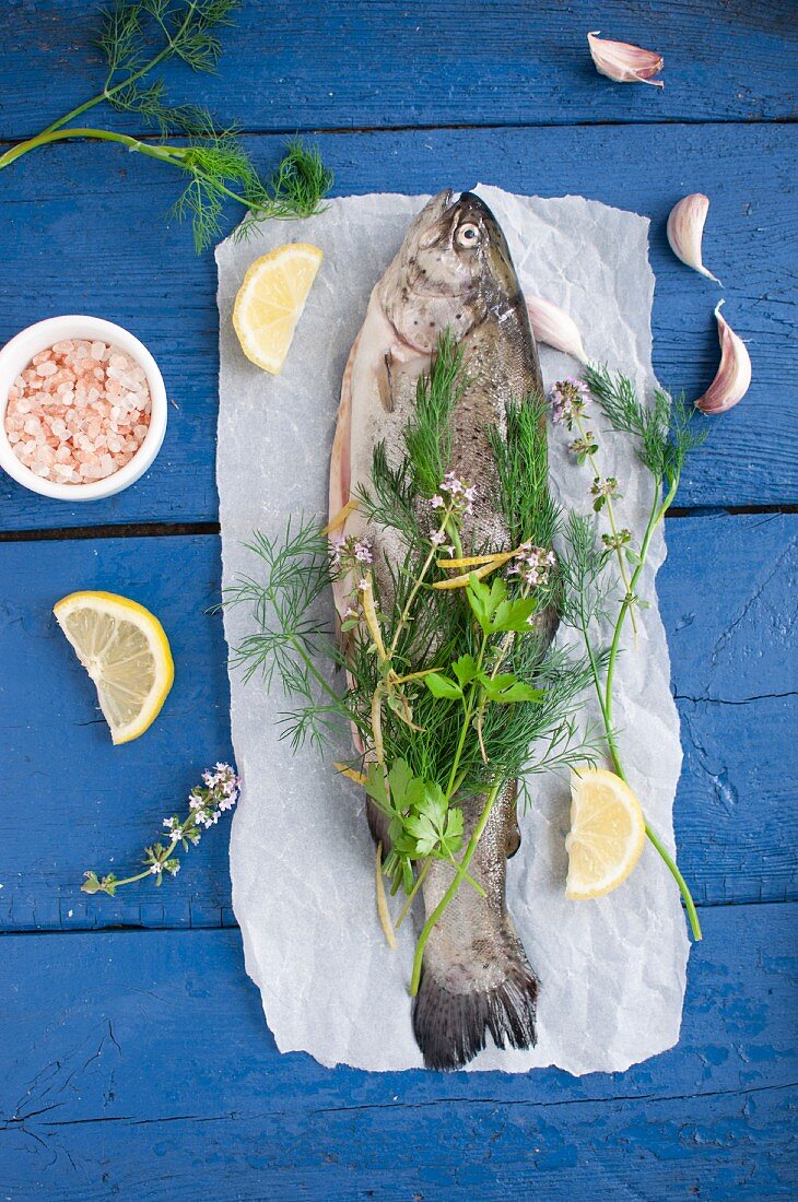 Raw trout garnished with fresh herbs and lemon slices on parchment paper