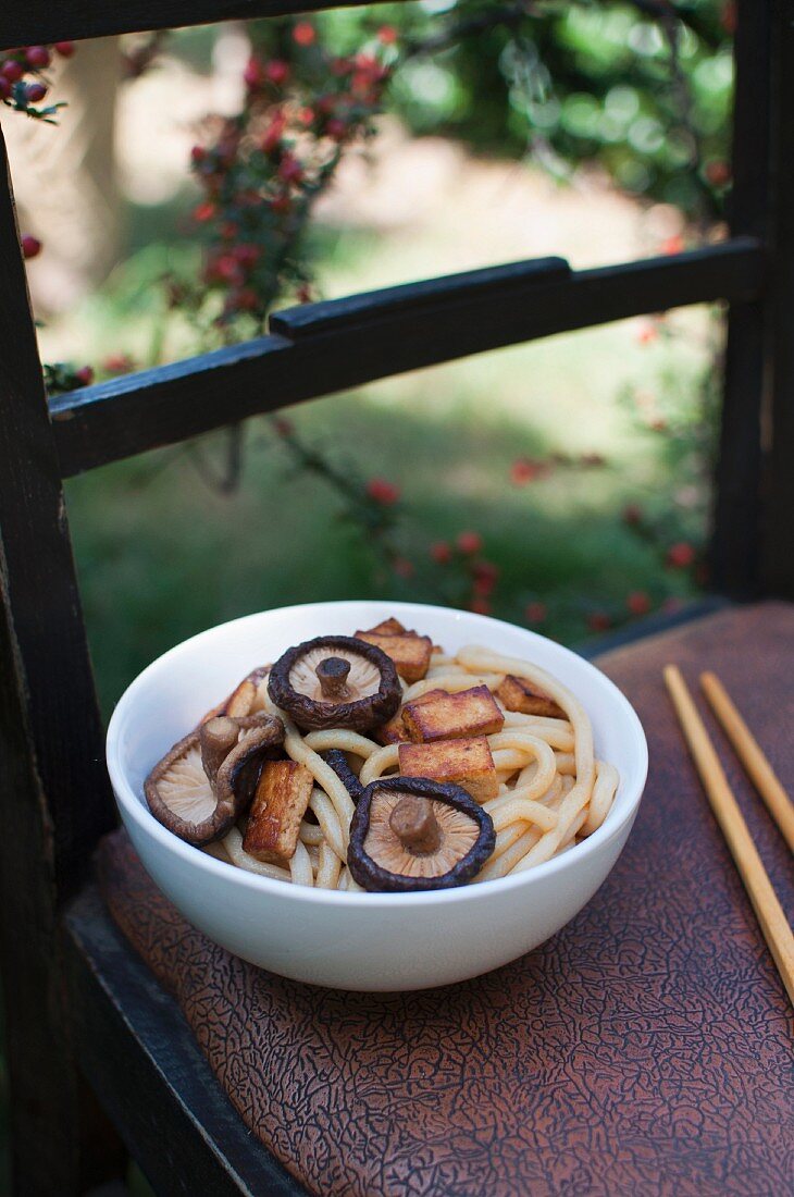 Udon noodles with tofu and shiitake mushrooms