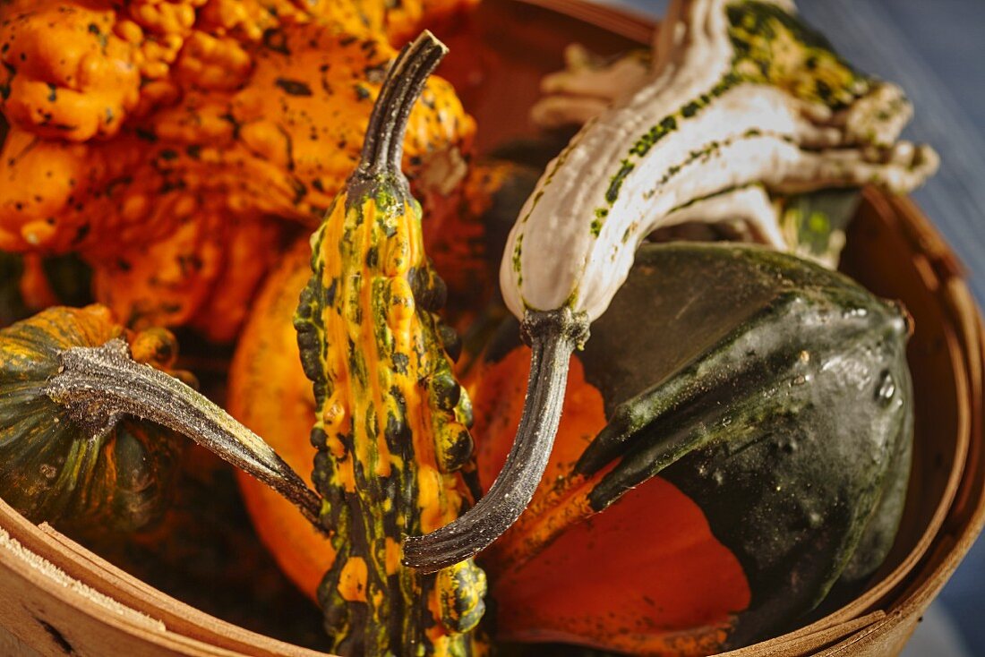 A basket of ornamental squash (close-up)