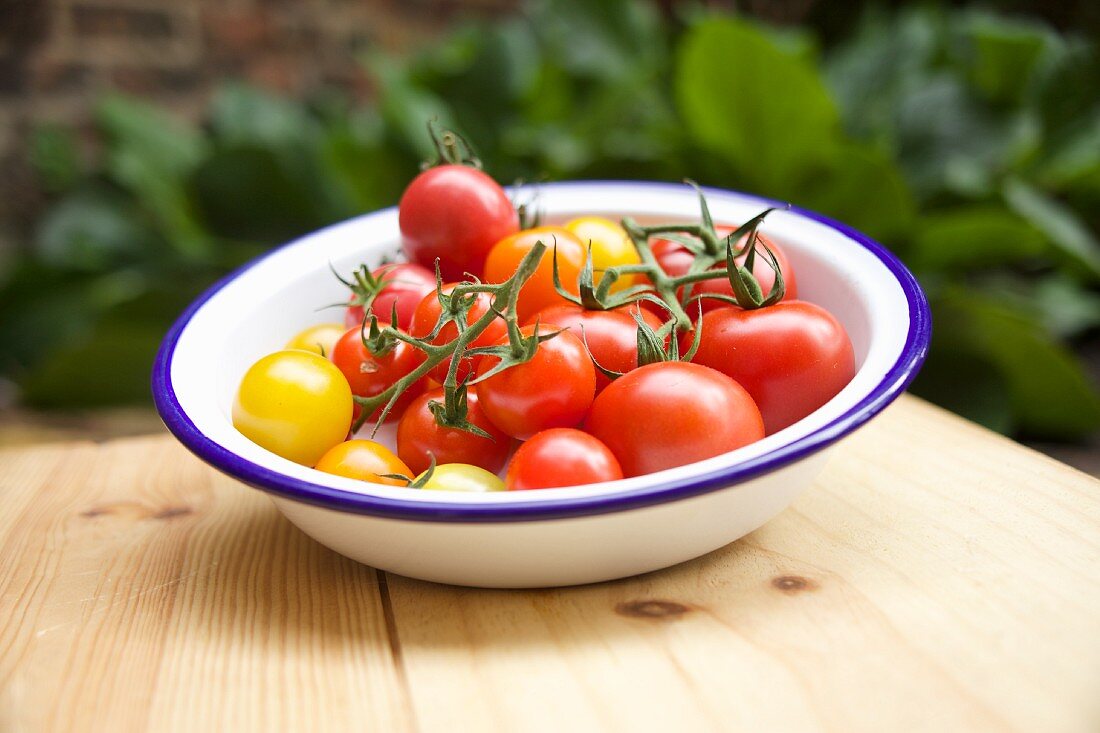 Various tomatoes in a bowl on a garden table