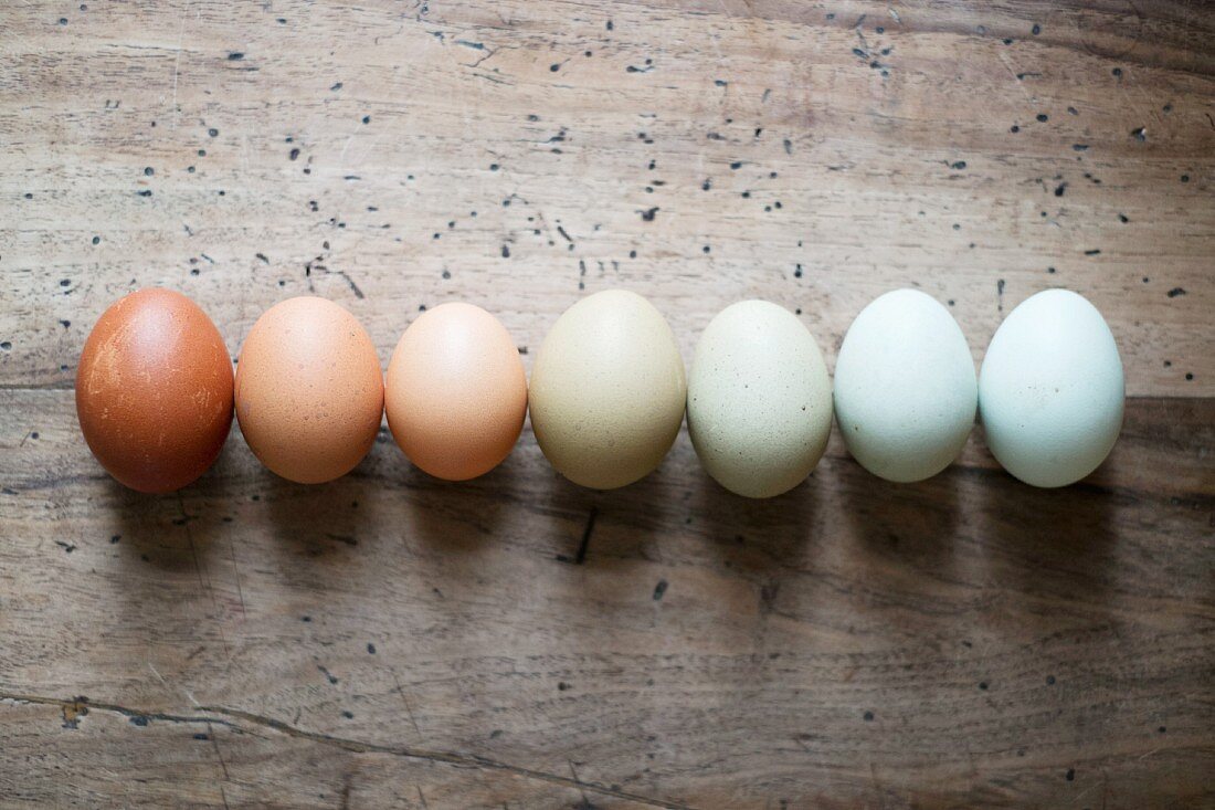 Various different coloured eggs in a rows on a wooden surface
