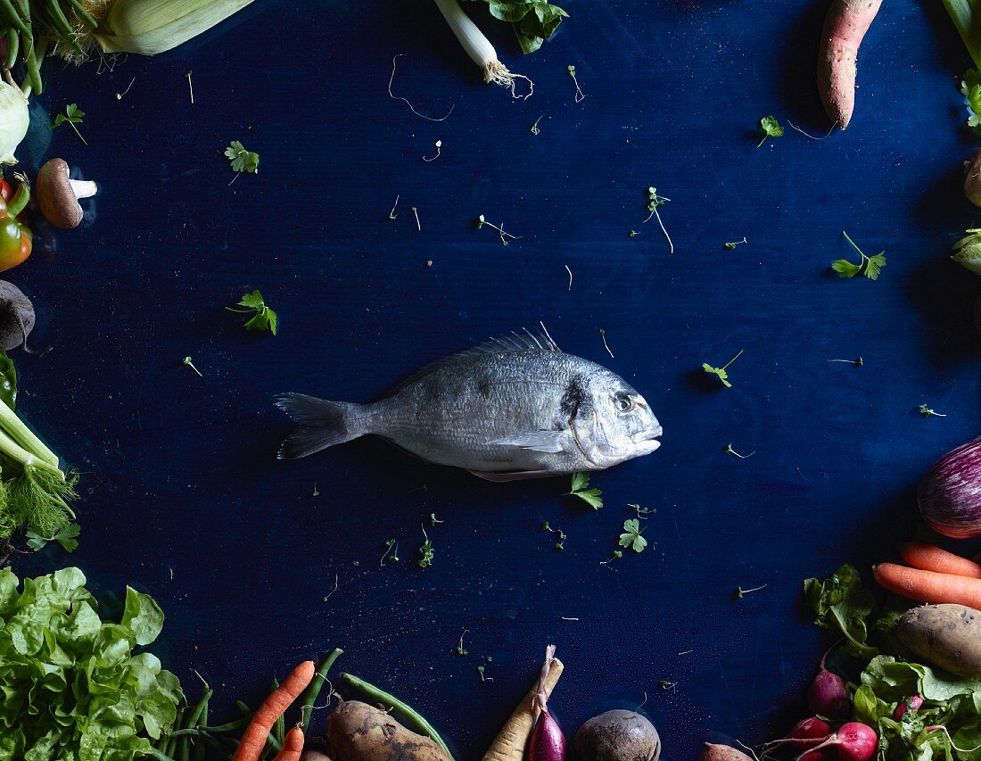 A sea bream in the middle of a blue table surrounded by vegetables